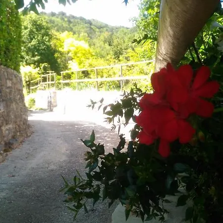 Modena * コステロマーノ