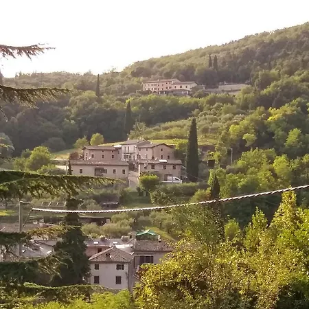 Modena *