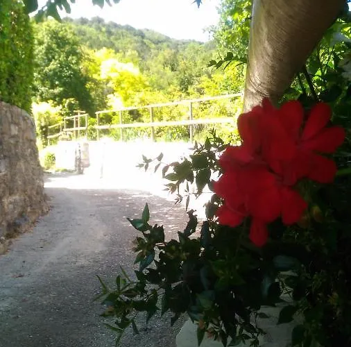 Modena * Костермано