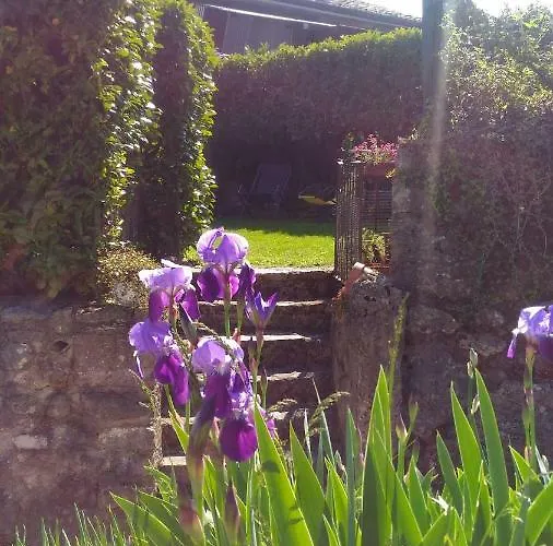 Апартаменты Modena